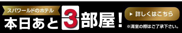 「スパプー」＆「世界の大温泉」が楽しめるホテル　詳しくはこちら