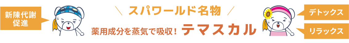 薬用成分を蒸気で吸収！テマスカル